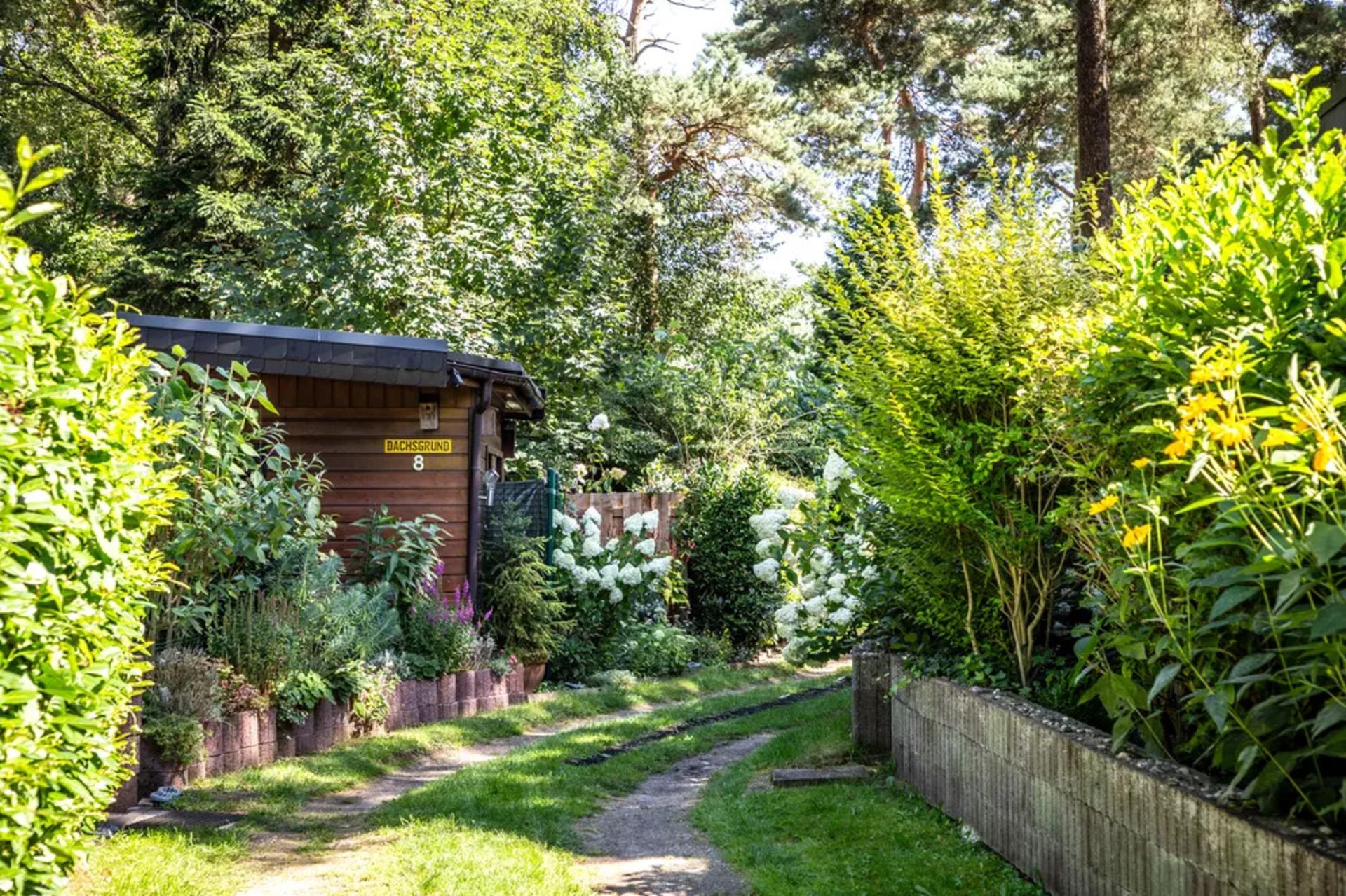 Waldferiendorf Eversum - Anlage